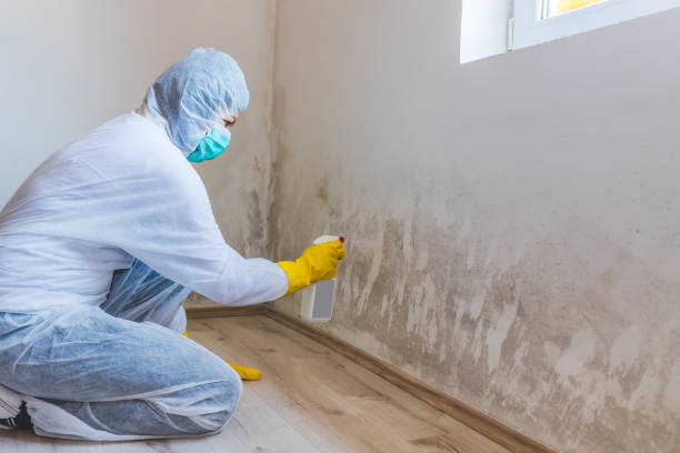 Mold Remediation specialist working in Pottersdale