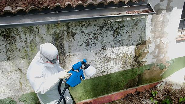 Mold Remediation service in Pottersdale, Pottersdale, PA